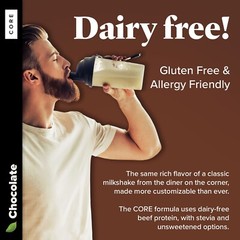 Chocolate Keto Chow CORE – Stevia