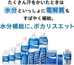 Pocari Sweat Ion Supply Drink Powder 74g x 5 packs in 1box Otsuka Japan