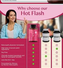 WILE HOT FLASH SUPPORT Hot Flash & Night Sweats 60 Caps (30 Serv) BEST BY 05/26