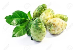 Antioxidant body lotion – NONI EXTRACT 500MG – 2B – noni capsules 1000mg