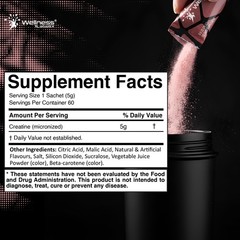 WELLNESS LABSRX Creatine Monohydrate Powder Sachets 300g – Peach Flavor Micro…