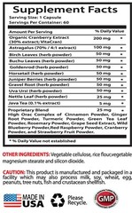 kidney health formula – KIDNEY SUPPORT 700MG – natural anti inflammatory 3B