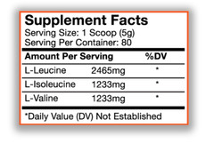 Premium Powders: BCAA (400g), Improve Recovery Time, Increase Muscle Gains