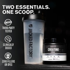 Creatine + BCAAs – Creatine Monohydrate + BCAA Powder for Increased Post-Work…