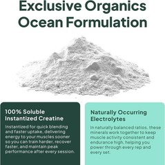 Organics Ocean Krealyte Fusion Creatine Powder Electrolytes Muscle 30 Servings
