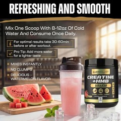 Clinically Dosed HMB Creatine Powder with Essential Amino Acids – Watermelon