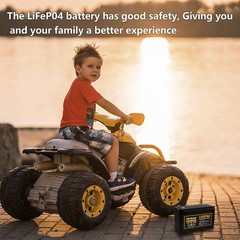 Nermak 2 Pack 12V 10Ah Lithium Ion LiFePO4 Deep Cycle Battery, 2000+ Cycles…
