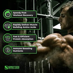 Species Nutrition ISOLYZE Whey Protein Isolate – **CHOOSE SIZE & FLAVOR**