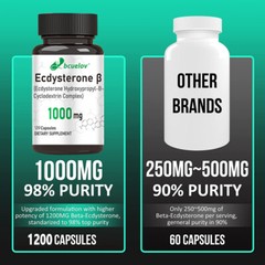 Ecdysterone Capsules High Dose – 1000mg SS Ecdysterone