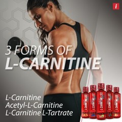 L-CARNITINE LS3 1500 Fat Loss-Metabolism Activator-Strawberry Kiwi- 32 Servings