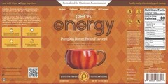 Perk Energy Drink Mix (Pumpkin Butter Pecan) 20 Servings BB 08/2028