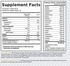 Core Nutritionals VEGAN Plant-Based Protein Blend – 29 Servings – ALL Flavors