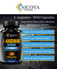 Nitric Oxide L-Arginine-Pump Workout Enhancer, Muscle Recovery, Energy & Stamina