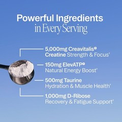 Creatine Monohydrate Powder, Micronized Creatine for Women & Men, German-Sour…