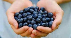 Boost Your Workout with ACAI BERRY EXTRACT – 2B 120 Caps
