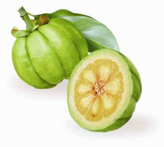 Miracle Garcinia Cambogia – GARCINIA CAMBOGIA – Fat Burner Pills 3 Bottles