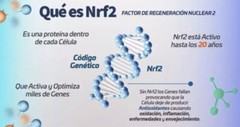 ACTIVZ COMBO : 1 GNMX + 1 LINQ + 1 OPTIMEND + 1 AIRO