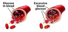 Weight Management Supplement – Blood Sugar Support 600mg – Zinc Powder 1B