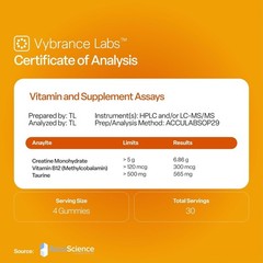 VYBRANCE LABS Creatine Gummies 5g Monohydrate Taurine B12 Vegan Citrus Mango