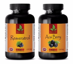 Antioxidant berry powder – RESVERATROL – ACAI BERRY COMBO – acai energy to go