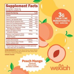 Wellah Creatine + Electrolytes Powder (Peach Mango) 30 Servings