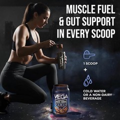 Vega Performance Protein + Recovery 1lb Creamy Chocolate 19 Servings Exp01/15/27