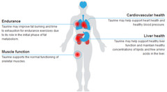 anti inflammatory foods – L-TAURINE 500MG – taurine amino acid 1B