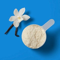 Whey Protein Powder – Vanilla – 32oz