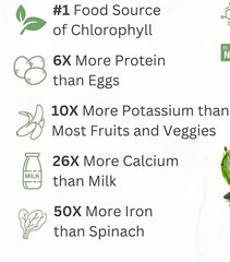 Gnc SuperFoods SPIRULINA 120 Capsules (120 Servings) Whole Plant BEST BY 05/26