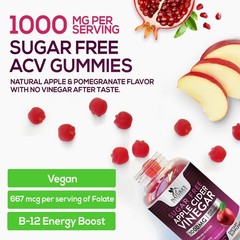 Apple Cider Vinegar Gummies for Weight Loss – Sugar Free 60 Count (Pack of 1)