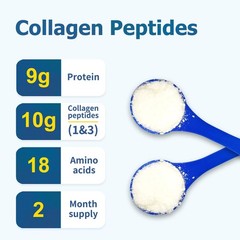 Zammex Premium Collagen Peptides PowderHydrolyzed Collagen Peptide for Women …