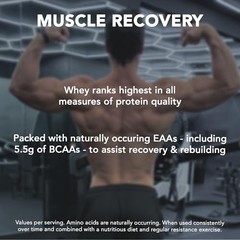 Rich Chocolate Whey Protein Powder 5lb – High Protein, Low Sugar, Muscle Gain