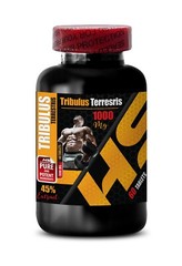 bulgarian tribulus – TRIBULUS TERRESTRIS 1000mg – pre workout women – 1 Bottle