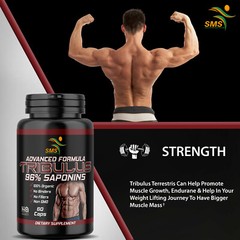 Tribulus Terrestris Test Boost, Energy, Stamina, Endurance, Muscle 3 Pack