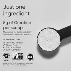 Sports Research® Creatine Monohydrate (Micronized) Powder 5g, 35.27oz | Gain Lea