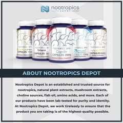 Nootropics Depot Agmatine Sulfate Capsules 250Mg 240 Count Nitric Oxide Pump