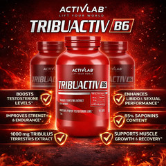 TRIBUACTIV B6 – Testosterone Booster – Natural Bodybuilding – Tribulus – ZMA
