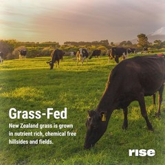 Rise Grass-Fed Whey Protein Vanilla – 25g Protein, No Artificial Ingredients, 2.
