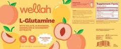 Wellah L-Glutamine Peach Mango (50 Servings) – 5g L-Glutamine Per Serving, Sweet