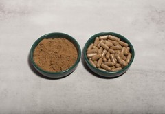 AJUGA TURKESTANICA 20:1 EXTRACT TURKESTERONE BODYBUILDING ECDYSTEROID