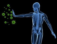 urinary tract infection – GARLIC & PARSLEY – dried parsley – 100 Softgels