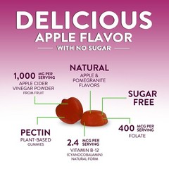 Apple Cider Vinegar Gummies for Weight Loss – Sugar Free 60 Count (Pack of 1)