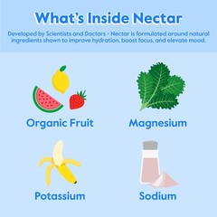 Nectar Hydration Packets – Electrolytes Powder Packets – No Sugar or Calories –