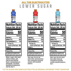 Gatorade G2 Thirst Quencher Sports Drink, Variety Pack, 20 Fl Oz (Pack of 12)