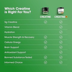 Optimum Nutrition Micronized Creatine Monohydrate Capsules 200 Caps Exp 05/2028