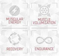 Purus Labs Citrulline Malate Powder – Strength & Volumization – 100 Servings