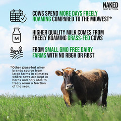 Naked Whey 2LB 100% Grass Fed Whey Protein Powder – Only 1 Ingredient, Unflavore