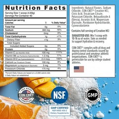 CONCRET Creatine HCl + Hydration | Electrolyte Powder Tub | Citrus Mango | Su…