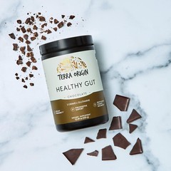 TERRA ORIGIN Healthy Gut Chocolate | 30-Servings with L-Glutamine, Zinc, Gluc…