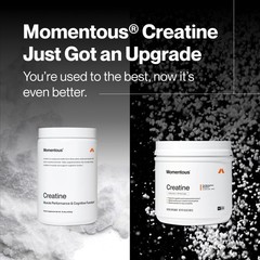 Creatine Monohydrate Powder – Supports Strength, Lean Muscle & Recovery – 90 Ser